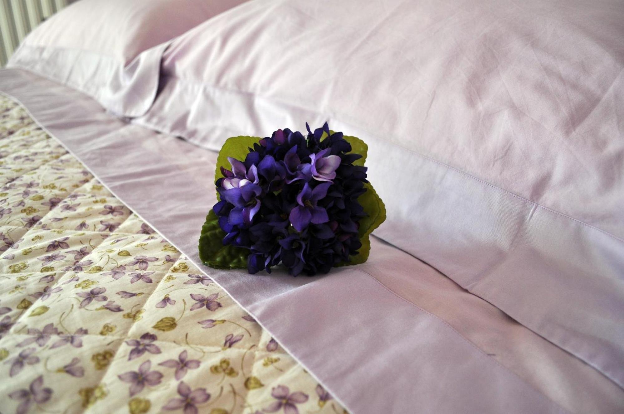 Olivia B&B And Apartment Cantagrillo Номер фото