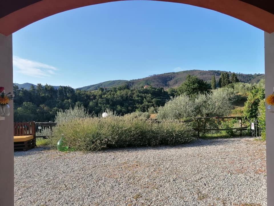 Olivia B&B And Apartment Cantagrillo Екстер'єр фото