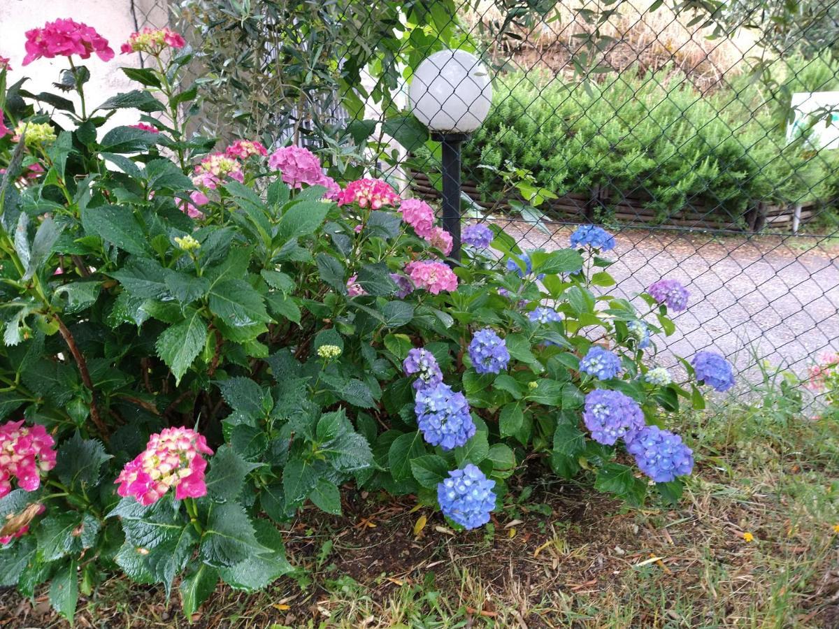Olivia B&B And Apartment Cantagrillo Екстер'єр фото