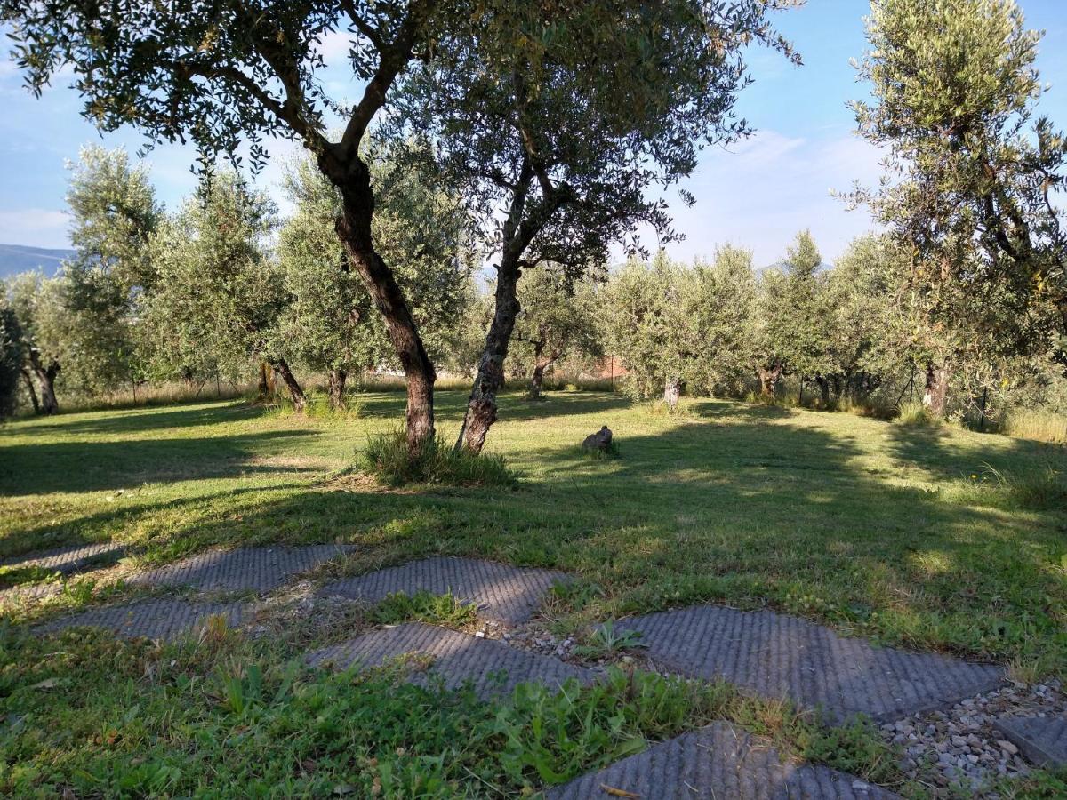 Olivia B&B And Apartment Cantagrillo Екстер'єр фото